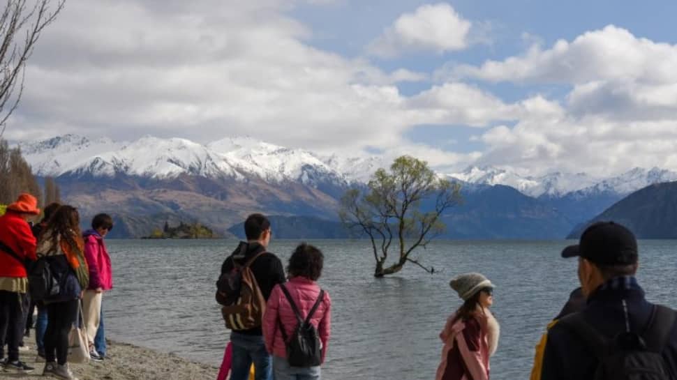 Workcation In New Zealand: New Visa Rules Allow Tourists To Work Remotely For Foreign Employers | World News