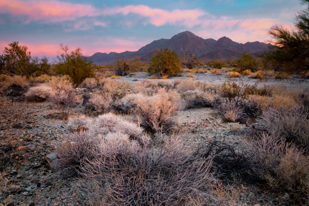Biden establishes 2 new national monuments in California