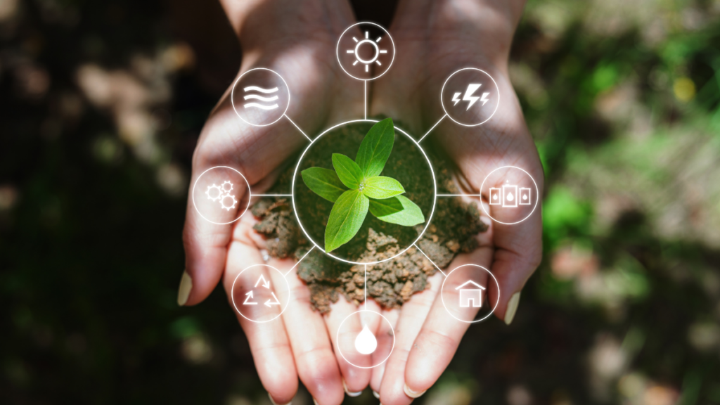 Vietnam-Denmark Energy Partnership Reviews Progress and Sets 2025-2026 Goals