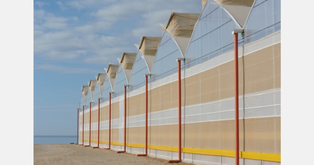 Completion of greenhouse project in Spain announced Completion of greenhouse project in Spain announced