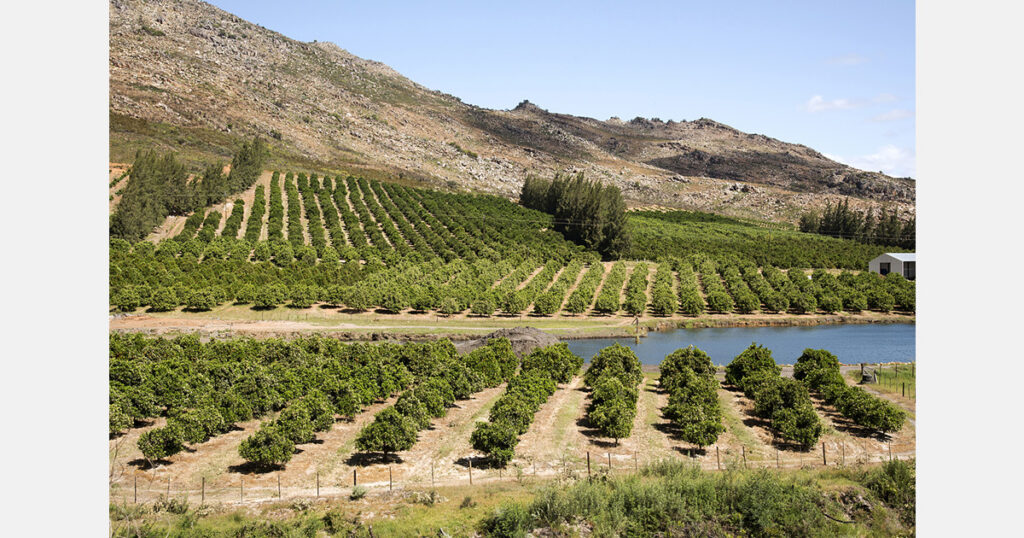 New Zealand to merge Plant & Food Research with three other CRIs for bioeconomy