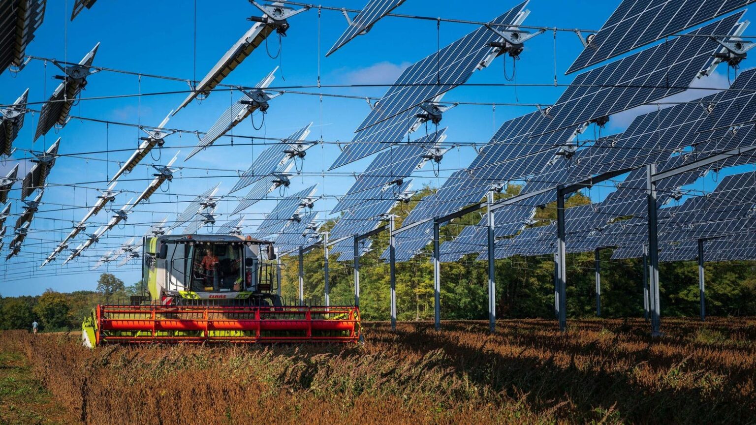 As Trump Dumps Clean Energy, Fossil Fuels Lose Their Grip On Europe As Trump Dumps Clean Energy, Fossil Fuels Lose Their Grip On Europe