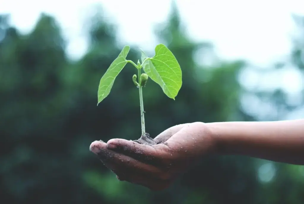 International Customs Day, World Environmental Education Day: what else is celebrated on January 26 Image