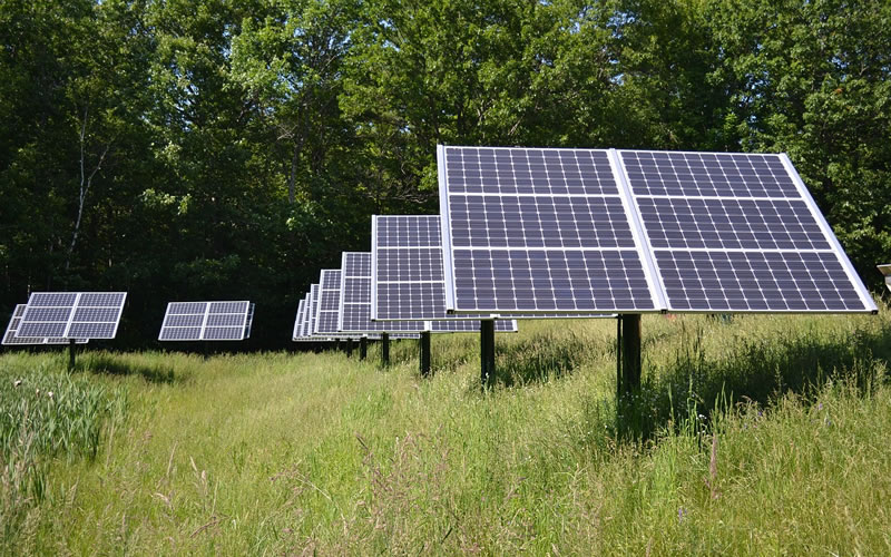 Week in review: S.C. rural energy gets boost from Biden administration Week in review: S.C. rural energy gets boost from Biden administration