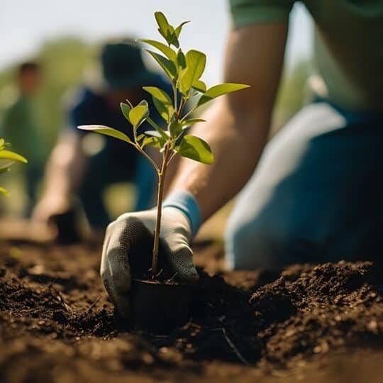 Importance of saving the environment – เผ๐๐ง๐ช๐ฃ๐ฃ๐๐กโฟเฟ Importance of saving the environment - เผ๐๐ง๐ช๐ฃ๐ฃ๐๐กโฟเฟ