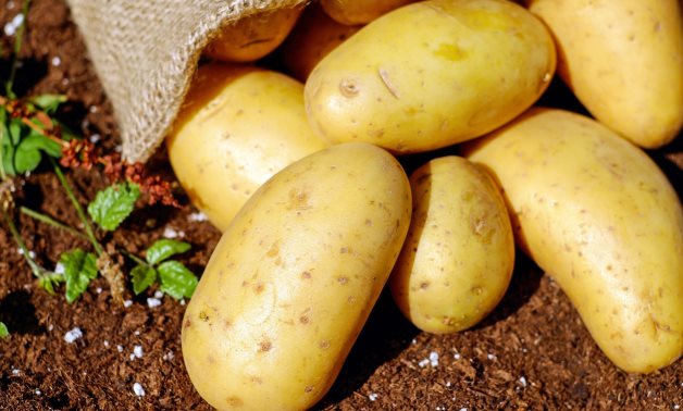 Egypt's potato exports rise to $409 million in 10 months of 2024