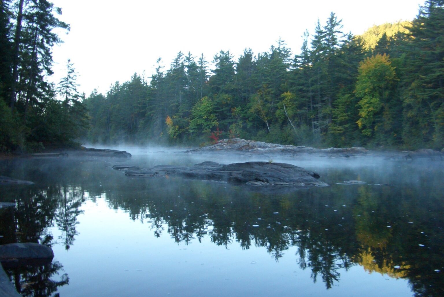 How Can We Protect the Environment and Thrive in 2025? We’ve Got a Plan!