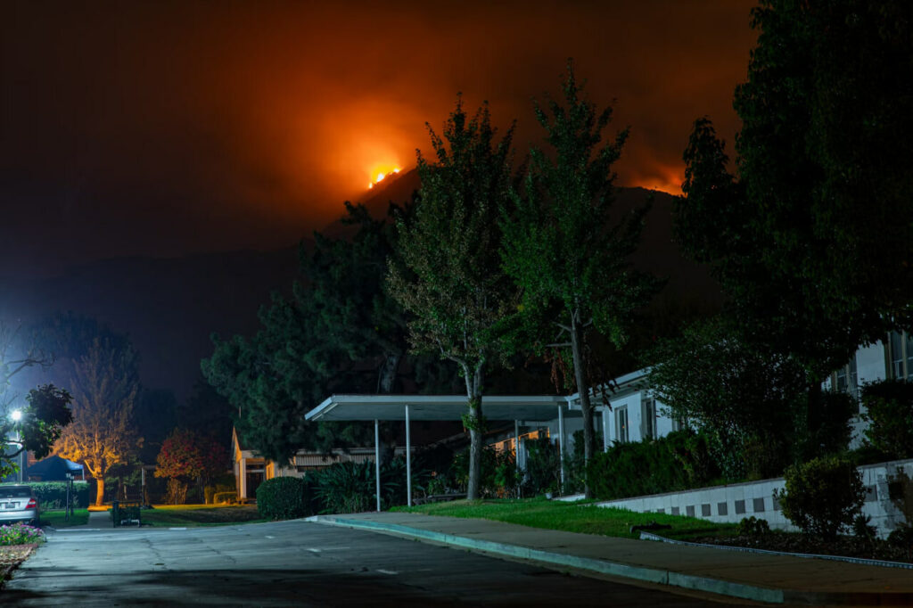 Toxic Wildfire Ash Poses Health and Environmental Risks