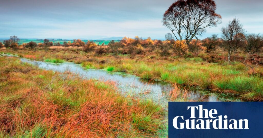 ‘We are resting on our laurels’: Scotland faces significant challenge to protect its environment | Scotland ‘We are resting on our laurels’: Scotland faces significant challenge to protect its environment | Scotland