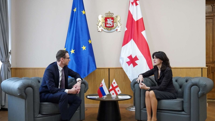 Maka Botchorishvili meets with the Ambassador of the Slovak Republic to Georgia