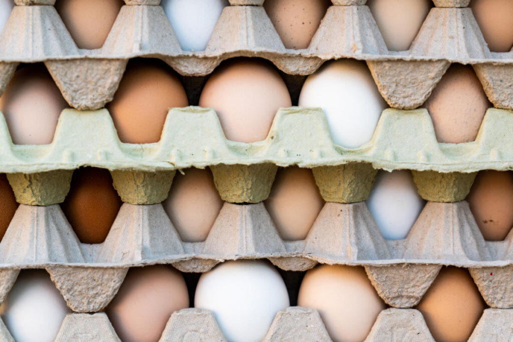 Eggs recalled in many provinces across Canada over salmonella concerns — here’s what you should know Eggs recalled in many provinces across Canada over salmonella concerns — here's what you should know