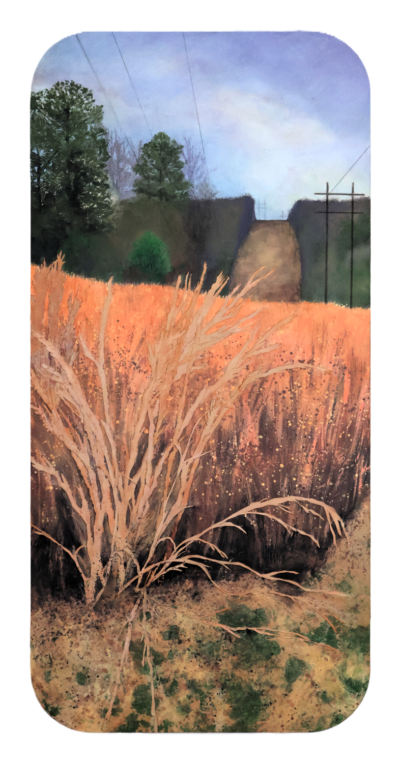 "Power Line Prairie, GA" 22.5" x 46.5" assemblage on wood by Lisa D. Watson