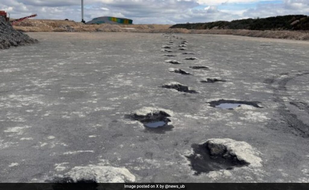 'Dinosaur Highway' With 200 Footprints From Jurassic Period Found In UK