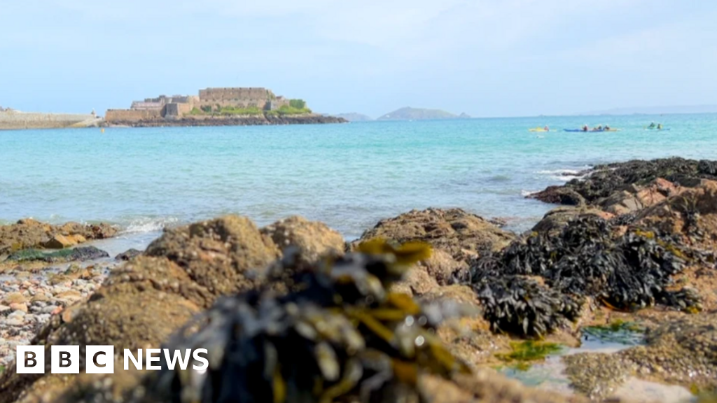 Funding awarded to Guernsey environmental and research projects Funding awarded to Guernsey environmental and research projects
