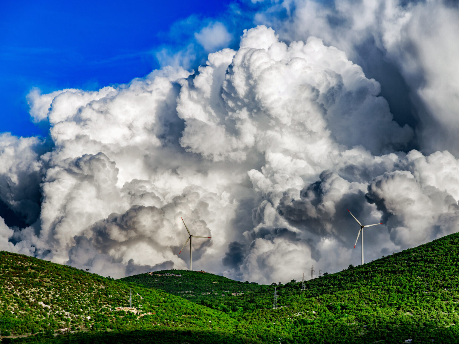 Weather and climate services inform transition to clean energy 