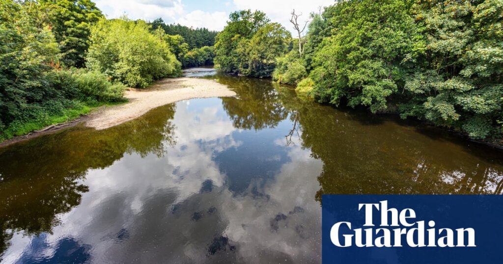 Researchers seek to expand ‘citizen scientist’ testing of UK river quality | Rivers Researchers seek to expand ‘citizen scientist’ testing of UK river quality | Rivers