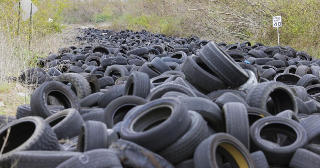 New Orleans seeks crack down on illegal tire dumping | Environment New Orleans seeks crack down on illegal tire dumping | Environment