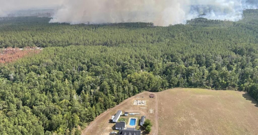 Can Louisiana learn from the Los Angeles wildfires? | Environment