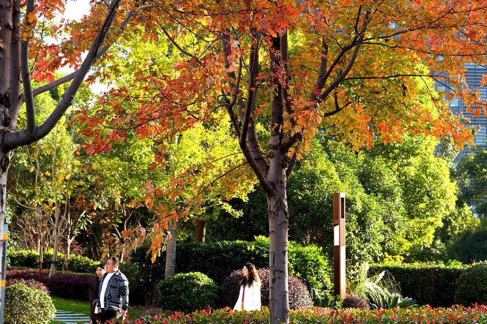 Shanghai continues to enrich ecological environment Shanghai continues to enrich ecological environment
