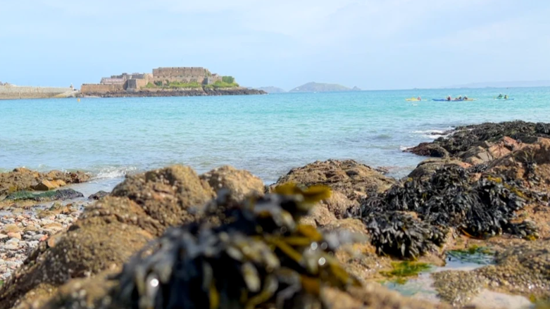Funding to support environmental projects St Peter Port looking over Castle Cornet. Rocks and and seaweed line the shore next to the water. The castle can be seen in the distance.