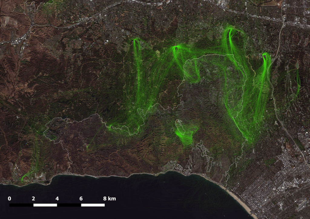 Aerial Firefighting Operations in Los Angeles