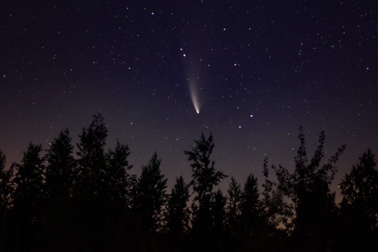 Comet set to outshine Venus in the night sky