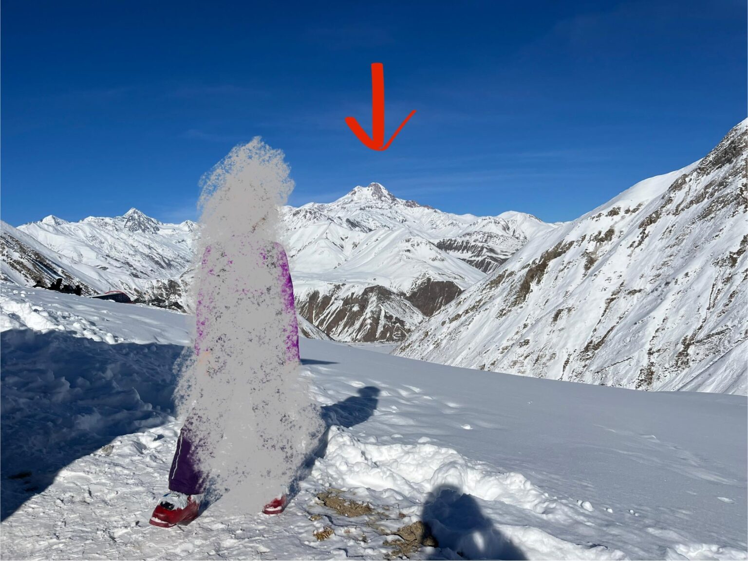 Can someone help me identify this peak?