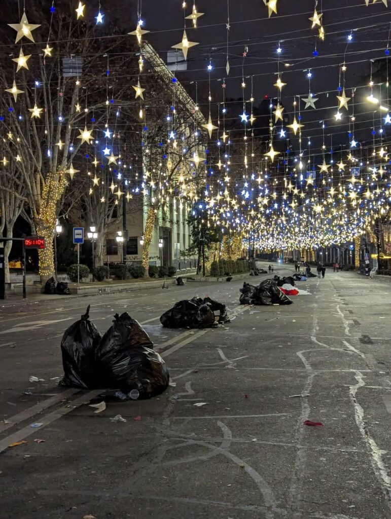Radical, Extremist, Liberal-Fascist Protesters Cleaned Up Rustaveli Avenue After the New Year Feast