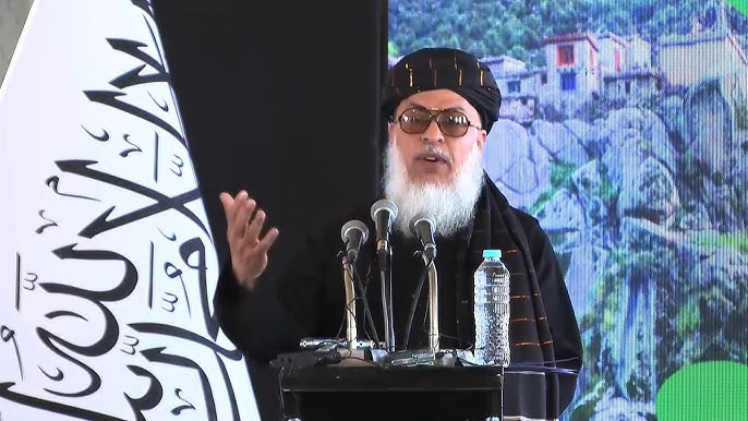 Taliban official claims decades of war have severely damaged Afghanistan’s environment