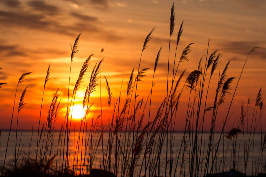 Let’s turn promises into progress for the Chesapeake Bay Let’s turn promises into progress for the Chesapeake Bay