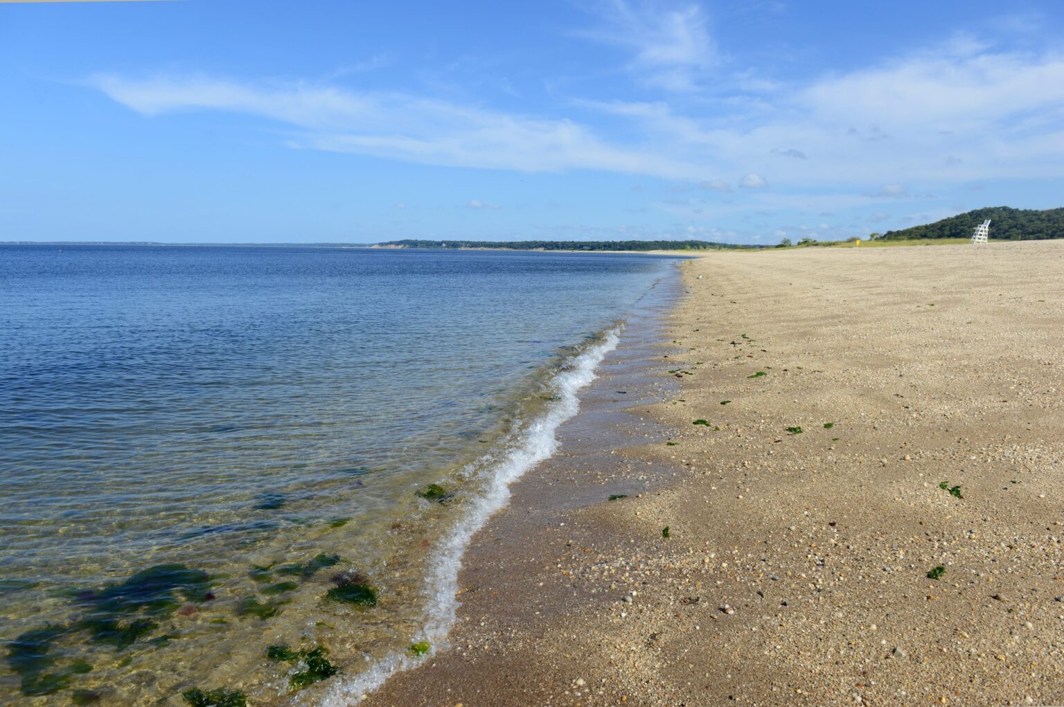Report Calls Water Protection ‘Greatest Environmental Engineering Challenge the State has Ever Faced’ Report Calls Water Protection 'Greatest Environmental Engineering Challenge the State has Ever Faced'