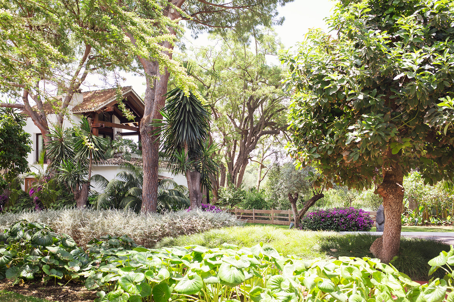 Botanical gardens at Marbella Club.