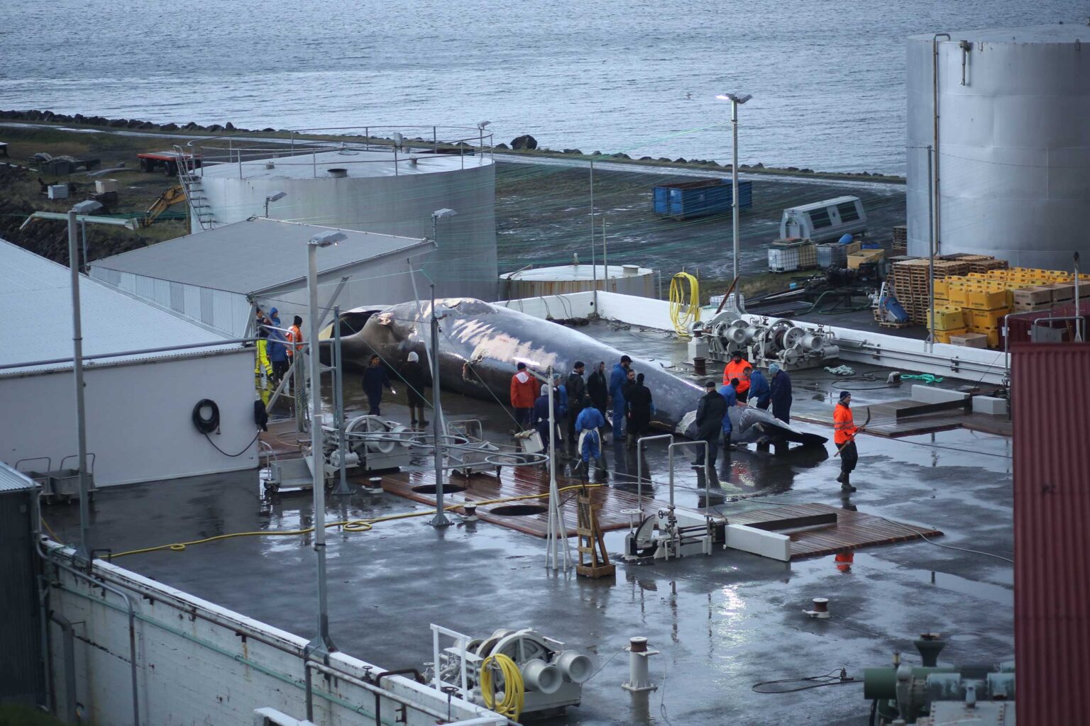 A Step Backward for Marine Life — Sea Shepherd Conservation Society