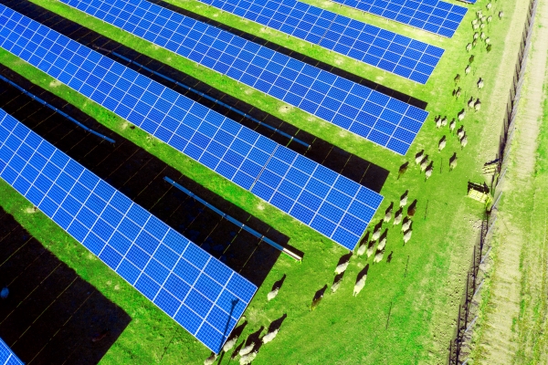 280 GWh New Zealand agrisolar project reaches financial close – pv magazine Australia 280 GWh New Zealand agrisolar project reaches financial close – pv magazine Australia