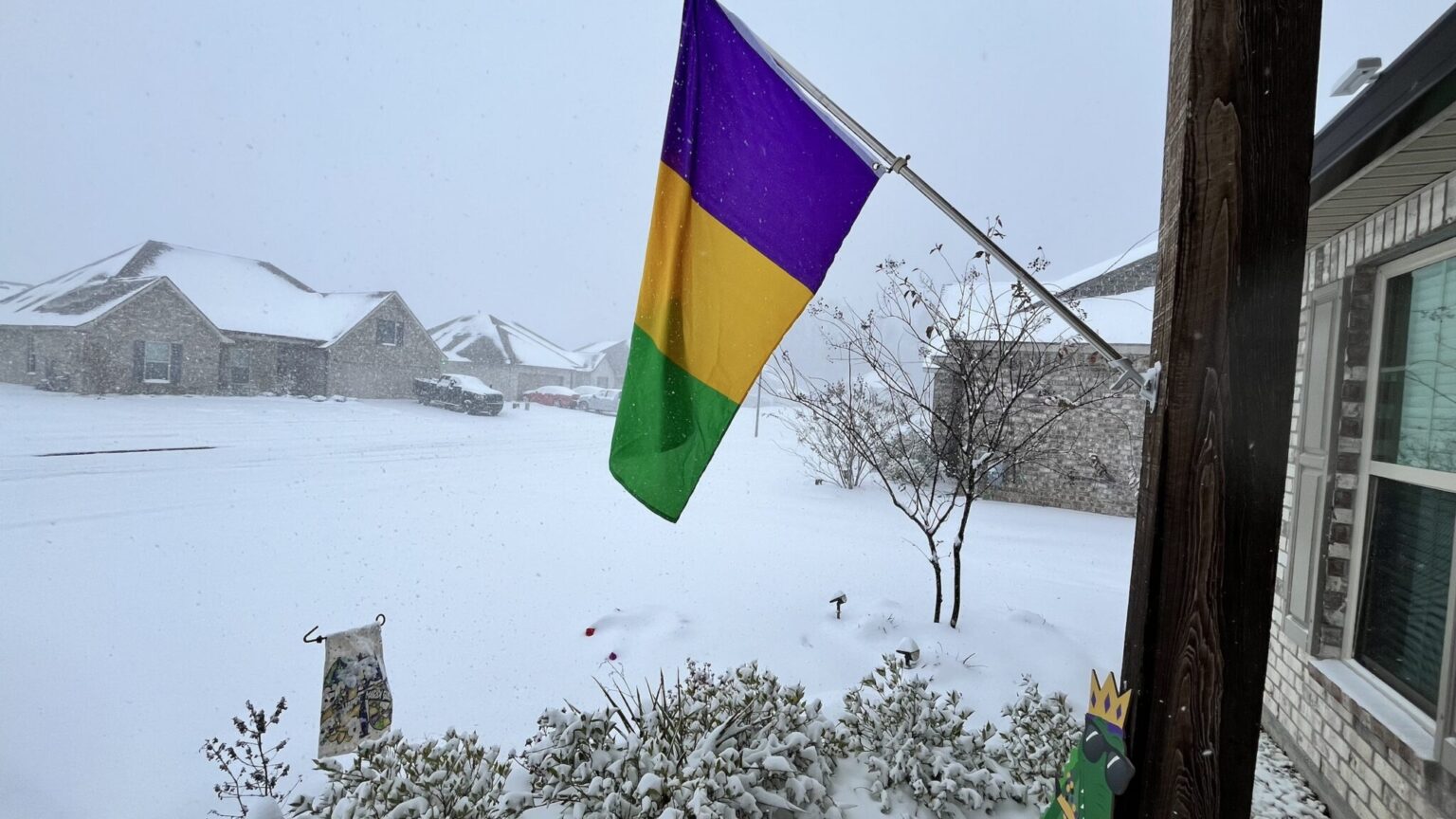 A Mardi Gras flag flaps in snowfall with blanket of snow covering ground