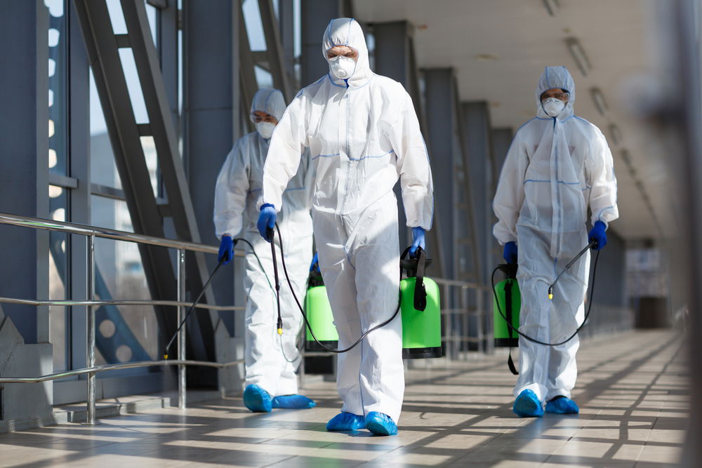 New mosquito virus in Spain