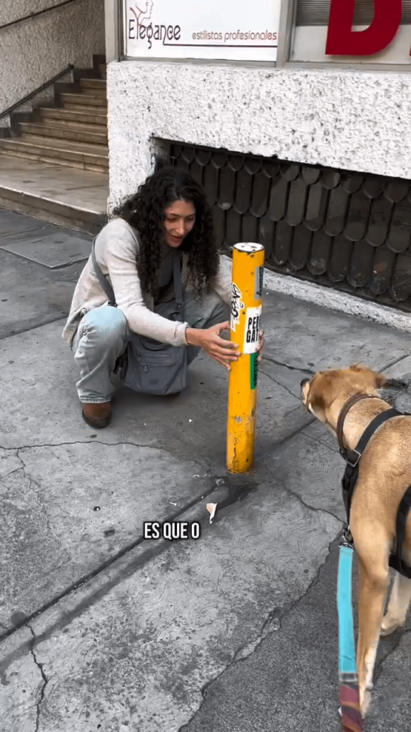 “La confrontan por estar retirando stickers en la calle y se va arrestada por agresiones. ” This Israeli woman taking off PRO-PALESTINE Stickers is an IDF Solder – then attacks a MX Citizen as if she was in Palestine. I have seen her TIK TOK videos. They travel as Tourists but still work… "La confrontan por estar retirando stickers en la calle y se va arrestada por agresiones. " This Israeli woman taking off PRO-PALESTINE Stickers is an IDF Solder - then attacks a MX Citizen as if she was in Palestine. I have seen her TIK TOK videos. They travel as Tourists but still work...