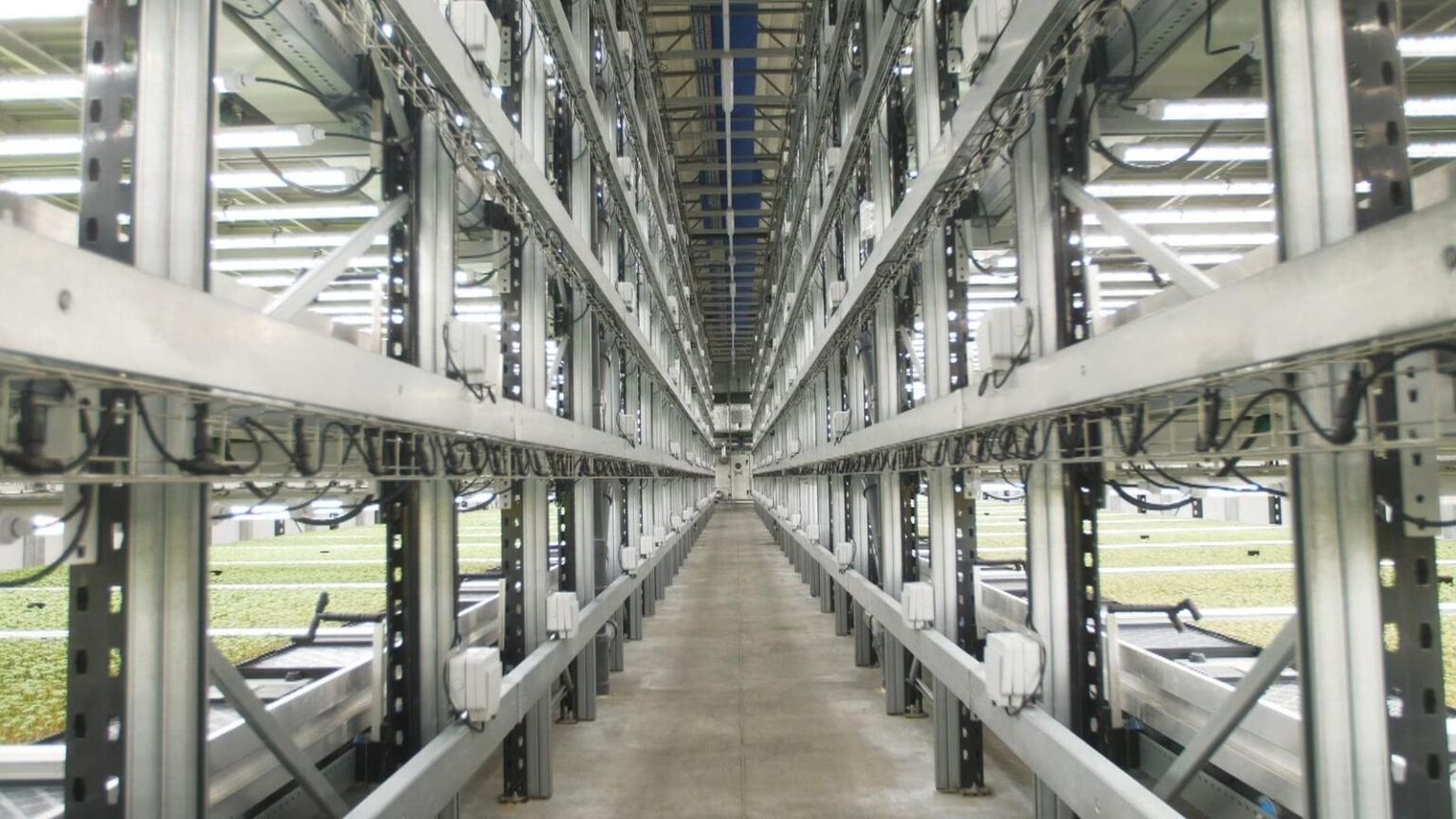 Fischer Farms (UK) - Europe's biggest vertical farm already produces basil & chives at similar cost to imported herbs. "And our long-term goal is that we can get a lot cheaper"