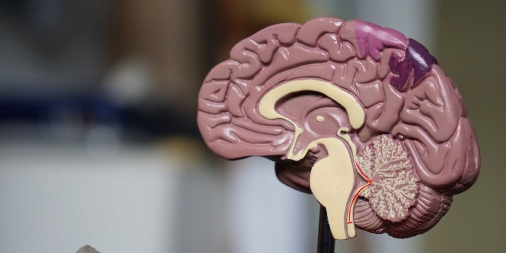 UVA Health’s neurosurgery department recognized nationally UVA Health’s neurosurgery department recognized nationally