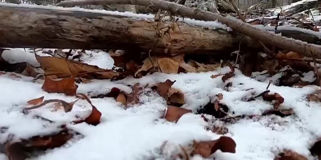Atmos Energy shares tips on winter preparation Atmos Energy shares tips on winter preparation