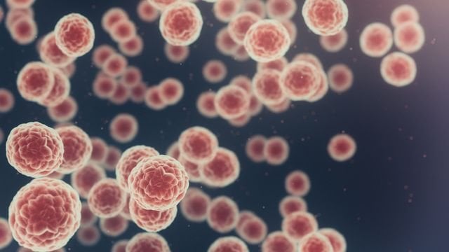 Virus-Based Therapy Shrinks Tumors in Skin Cancer Patients