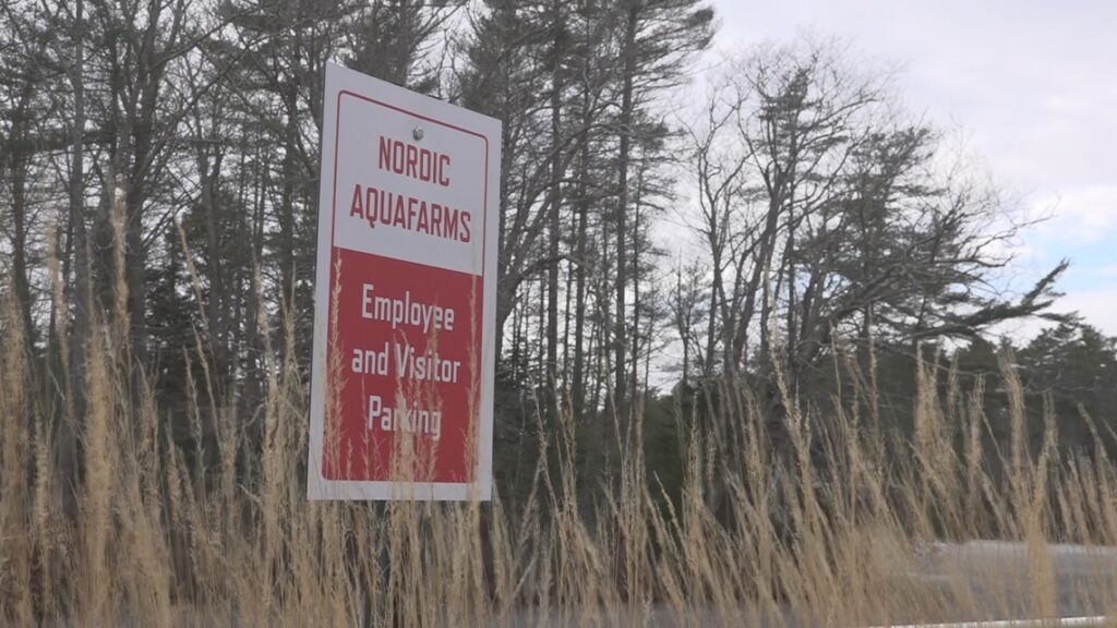 Environmental nonprofit sues over Belfast permits to Nordic Aquafarms