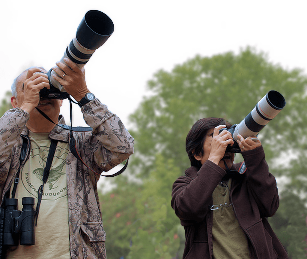 Photography, Person, Photographer