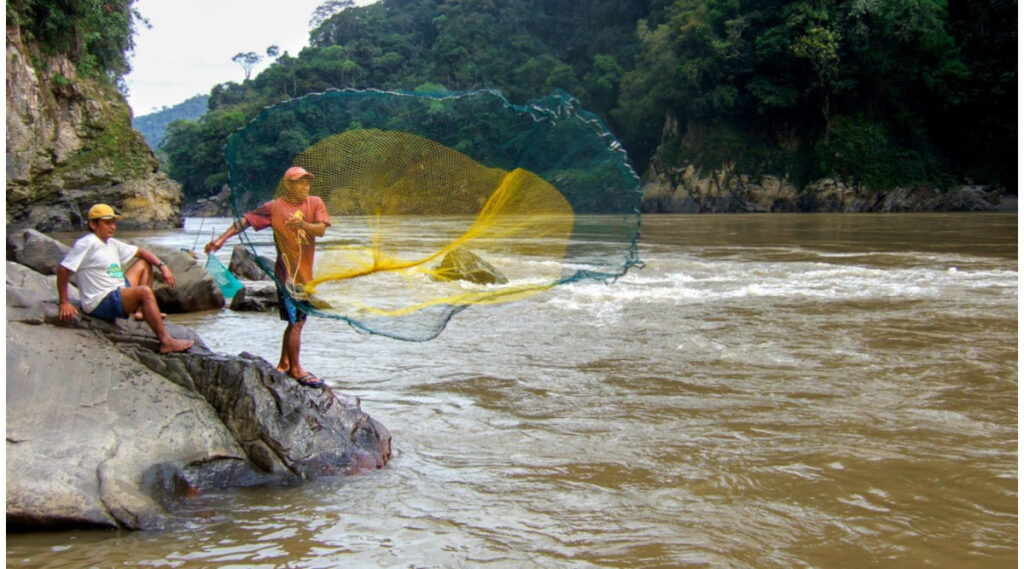 Smaller Fish Offer Better Nutrition, Lower Environmental Cost Smaller Fish Offer Better Nutrition, Lower Environmental Cost