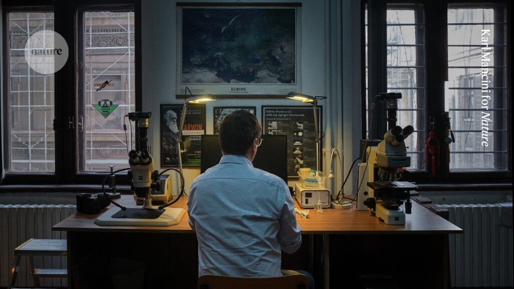 How I find and explain plant fossils in Romania