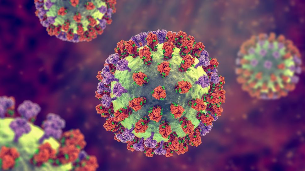Researchers in New Zealand win $8.3 M grant to prevent influenza image credit- shutterstock