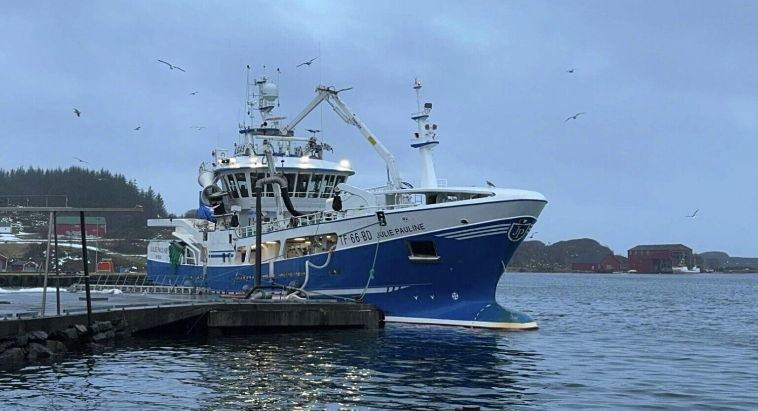 Norway already 25% through NVG herring quota