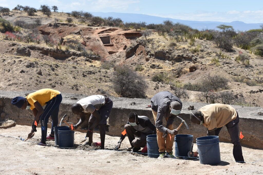 Homo Erectus Thrived in a Desert, Study Finds, Suggesting the Early Humans Could Adapt to Extreme Environments