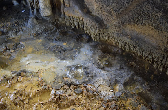 Cave bear footprints in Honseca Cave, Spain. Image credit: Rodríguez et al., doi: 10.1080/10420940.2024.2446153.