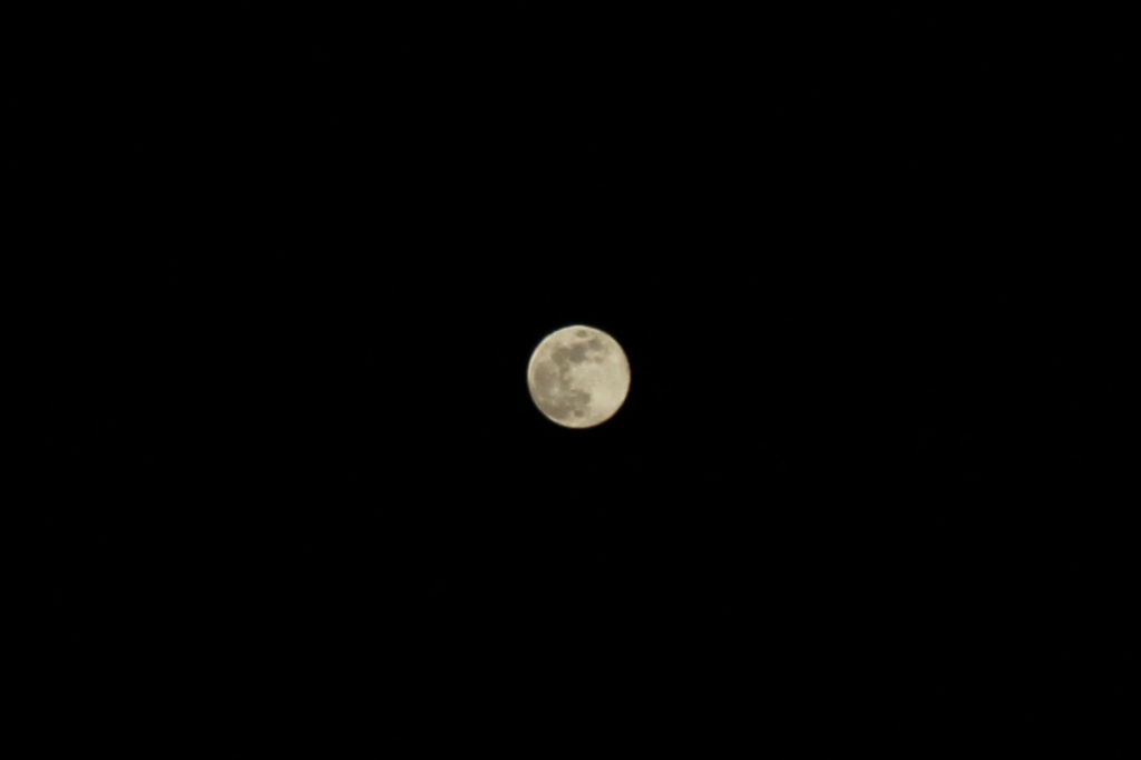 First Full Moon of the year 🌕✨